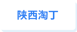 陕西淘丁
